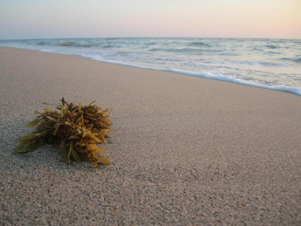 Lanta Il Mare Beach Resort Koh Lanta Exterior foto